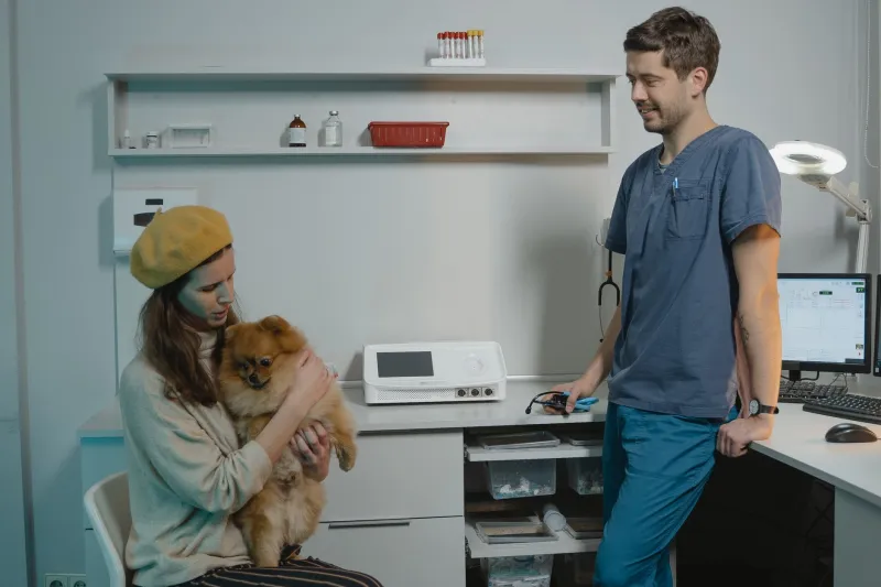 So You Want a Frenchie: The Honest Money Talk Nobody Has With You Before You Buy