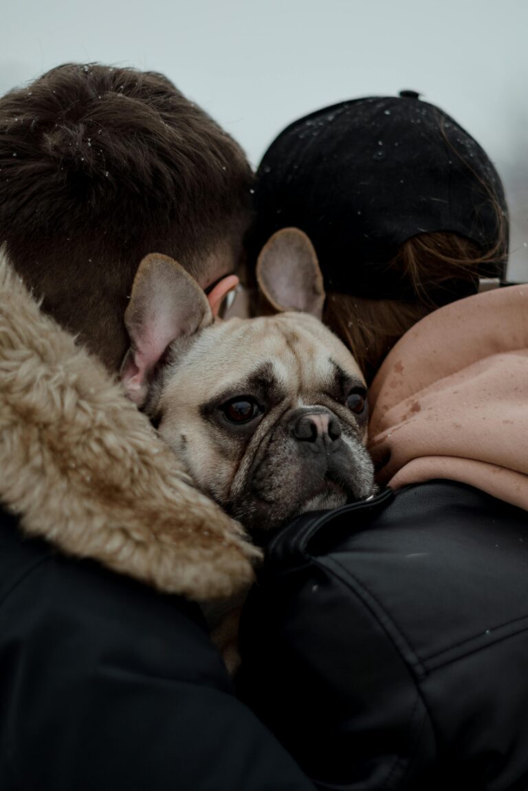 A couple embraces a bulldog in winter, highlighting warmth and affection amidst falling snow.